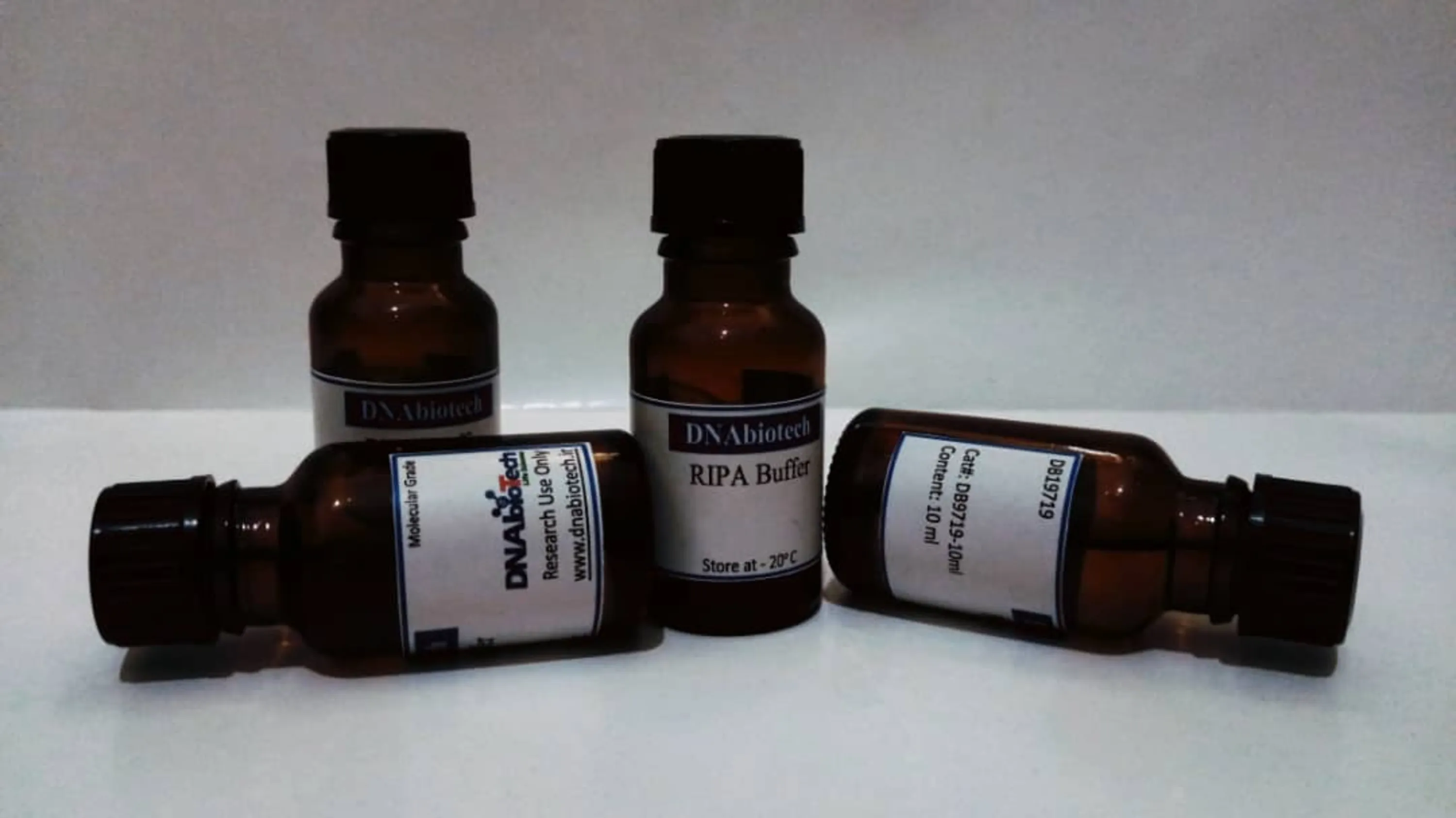 ripa buffer kalazist کالا زیست